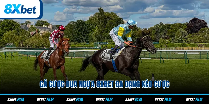 Cá cược đua ngựa 8xbet đa dạng kèo cược