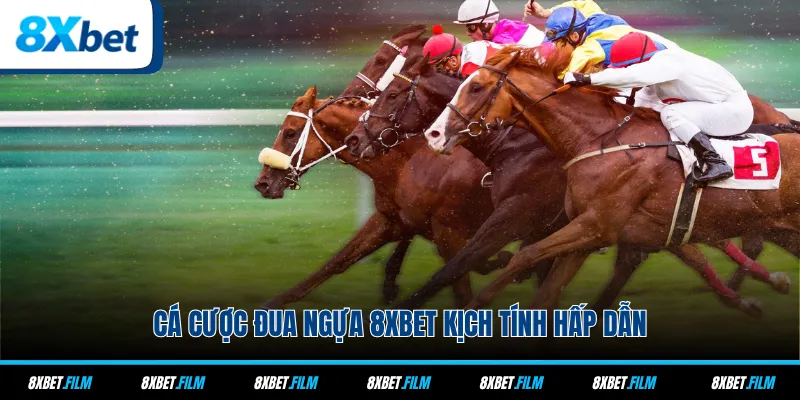 Cá cược đua ngựa 8xbet kịch tính hấp dẫn