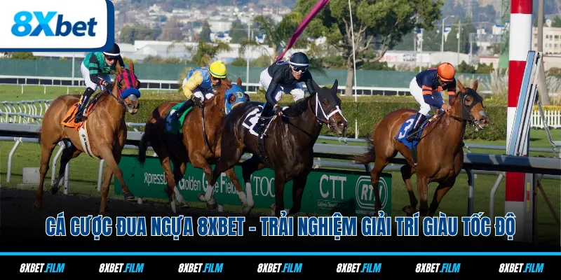 Cá Cược Đua Ngựa 8xbet - Trải Nghiệm Giải Trí Giàu Tốc Độ