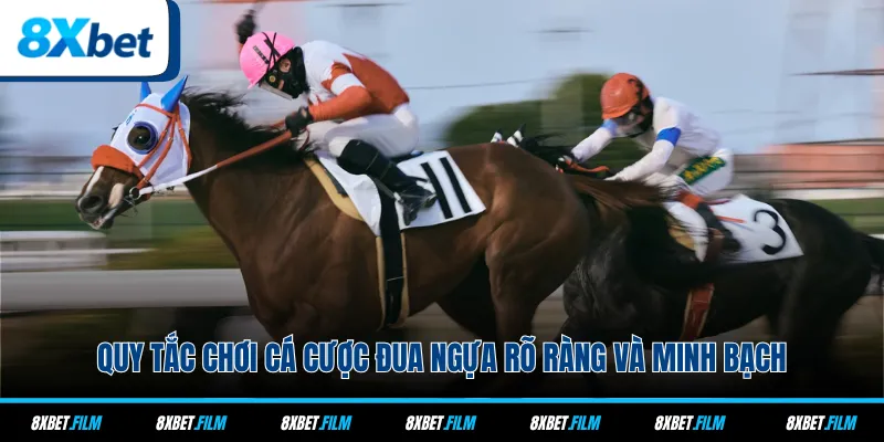 Quy tắc chơi cá cược đua ngựa rõ ràng và minh bạch